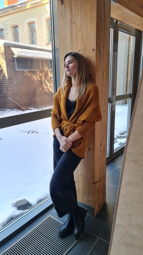 Sinepju dzeltena  apaļjaka